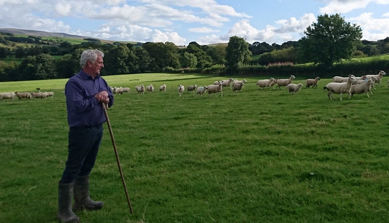 Welsh farmers urged to make their voice heard on post-Brexit consultation