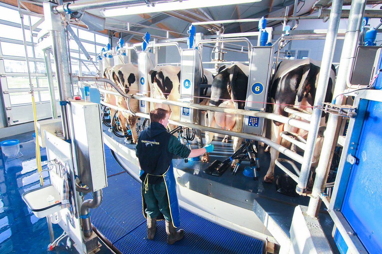 A simple milk sample can provide a world of information for dairy farmers